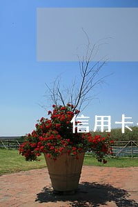 信用卡一条逾期影响房贷 信用卡一条逾期影响房贷
