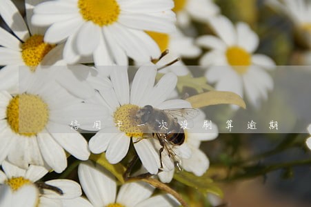 信用卡一次没刷算逾期 信用卡一次没刷算逾期