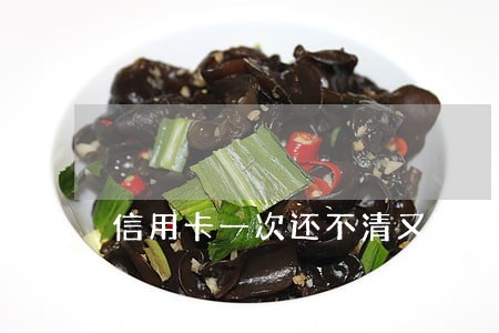 信用卡一次还不清又不想逾期