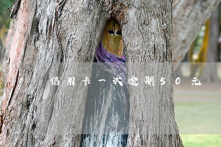 信用卡一次逾期50元