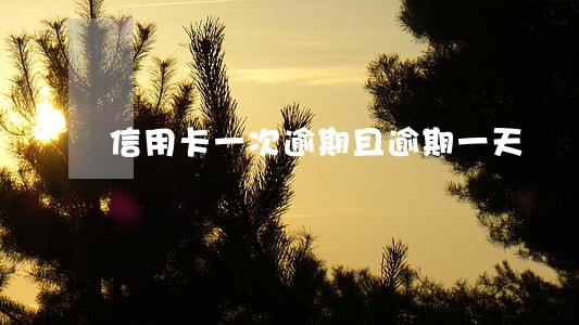 信用卡一次逾期且逾期一天
