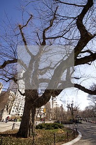 信用卡一次逾期两三天有事么 信用卡一次逾期两三天有事么