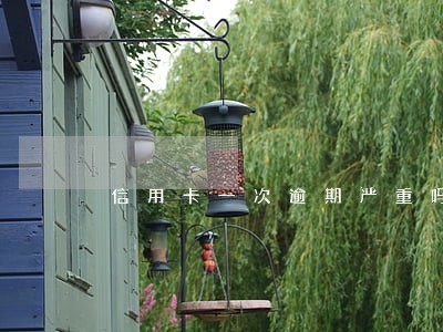 信用卡一次逾期严重吗 信用卡一次逾期严重吗