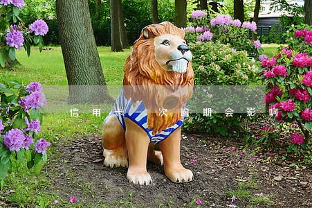 信用卡一次逾期会影响 信用卡一次逾期会影响