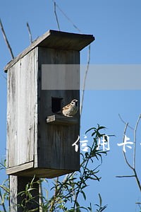 信用卡一次逾期会影响买车