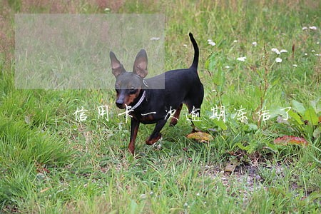 信用卡一次逾期冻结了