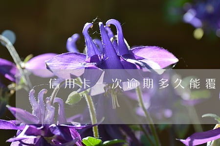 信用卡一次逾期多久能覆盖 信用卡一次逾期多久能覆盖