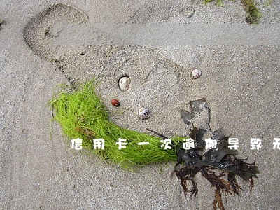 信用卡一次逾期导致无法贷款 信用卡一次逾期导致无法贷款