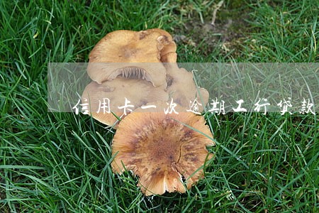 信用卡一次逾期工行贷款利率