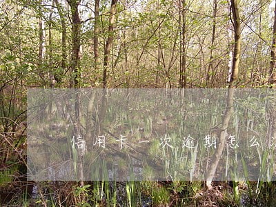 信用卡一次逾期怎么消除