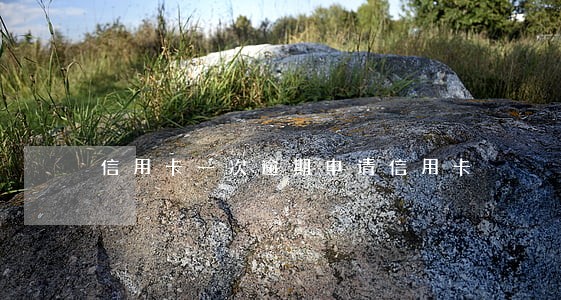 信用卡一次逾期申请信用卡