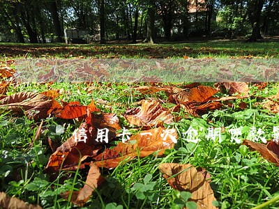 信用卡一次逾期贷款影响吗 信用卡一次逾期贷款影响吗