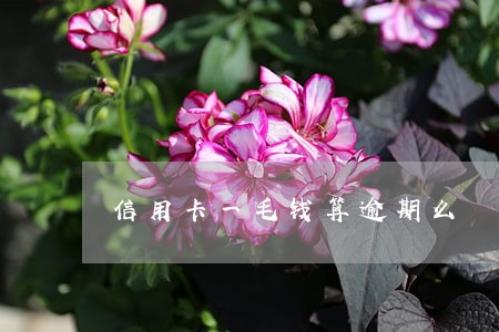 信用卡一毛钱算逾期么 信用卡一毛钱算逾期么