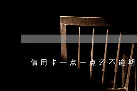 信用卡一点一点还不逾期行吗