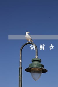 信用卡一百多块钱逾期一个月 信用卡一百多块钱逾期一个月