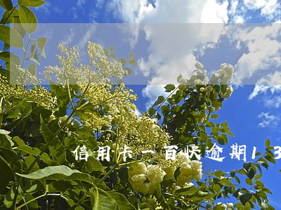 信用卡一百快逾期13天