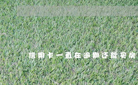 信用卡一直在逾期还能买房吗 信用卡一直在逾期还能买房吗