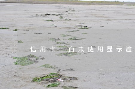 信用卡一直未使用显示逾期