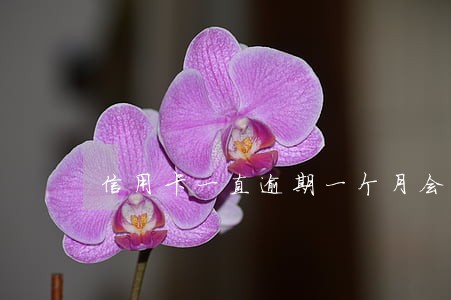 信用卡一直逾期一个月会怎么样