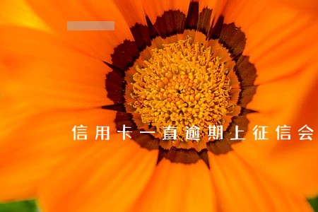 信用卡一直逾期上征信会影响吗 信用卡一直逾期上征信会影响吗
