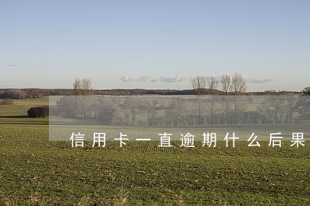 信用卡一直逾期什么后果 信用卡一直逾期什么后果