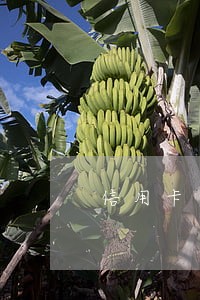 信用卡一直逾期会抓人吗 信用卡一直逾期会抓人吗