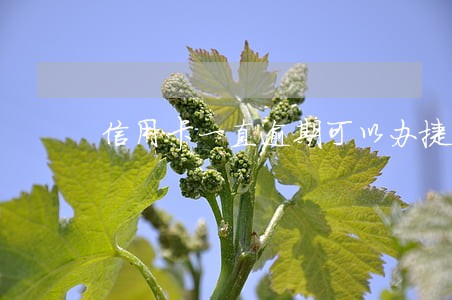 信用卡一直逾期可以办捷信吗