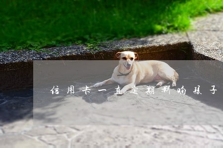 信用卡一直逾期影响孩子吗 信用卡一直逾期影响孩子吗