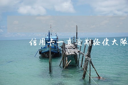 信用卡一直逾期经侦大队抓人 信用卡一直逾期经侦大队抓人