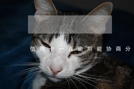 信用卡一直逾期能协商分期 信用卡一直逾期能协商分期