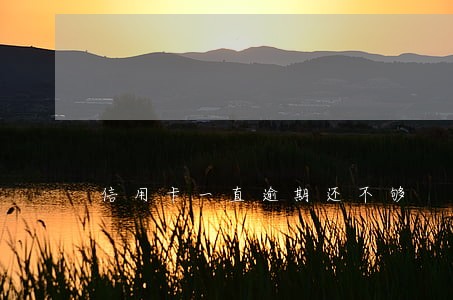 信用卡一直逾期还不够 信用卡一直逾期还不够