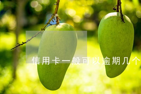 信用卡一般可以逾期几个月 信用卡一般可以逾期几个月