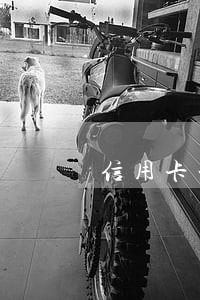 信用卡一般在几天内不算逾期