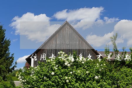 信用卡一般多久才算逾期