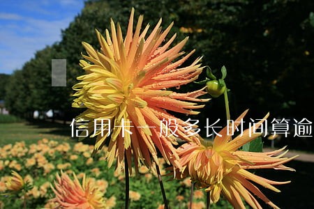 信用卡一般多长时间算逾期 信用卡一般多长时间算逾期