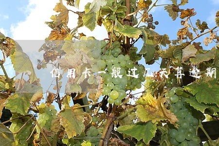 信用卡一般过几天算逾期 信用卡一般过几天算逾期