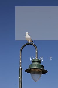 信用卡一般逾期几个月会被起诉 信用卡一般逾期几个月会被起诉