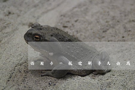 信用卡一般逾期多久会成黑户