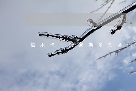 信用卡一般逾期多久会消除 信用卡一般逾期多久会消除