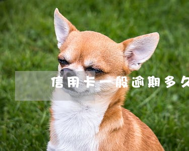 信用卡一般逾期多久会起诉 信用卡一般逾期多久会起诉