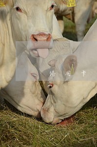 信用卡一般逾期多久就封卡 信用卡一般逾期多久就封卡
