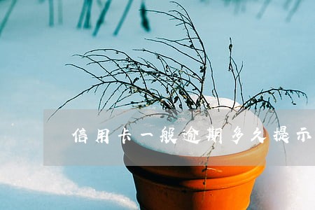 信用卡一般逾期多久提示上门 信用卡一般逾期多久提示上门