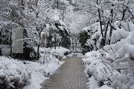 信用卡一般逾期能多久能恢复 信用卡一般逾期能多久能恢复