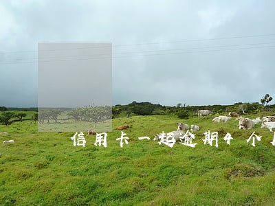 信用卡一起逾期4个月 信用卡一起逾期4个月