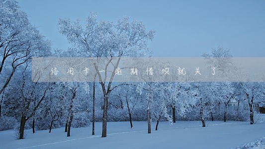 信用卡一逾期借呗就关了