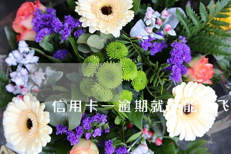 信用卡一逾期就不能坐飞机吗 信用卡一逾期就不能坐飞机吗