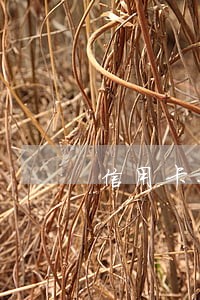 信用卡七万三年逾期利息有多少 信用卡七万三年逾期利息有多少