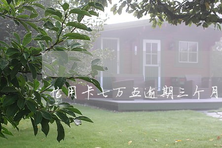 信用卡七万五逾期三个月 信用卡七万五逾期三个月