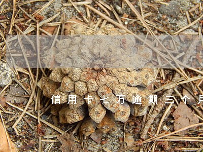 信用卡七万逾期三个月 信用卡七万逾期三个月