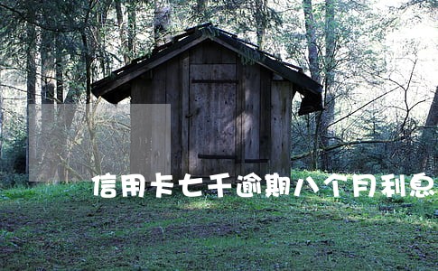 信用卡七千逾期八个月利息多少 信用卡七千逾期八个月利息多少